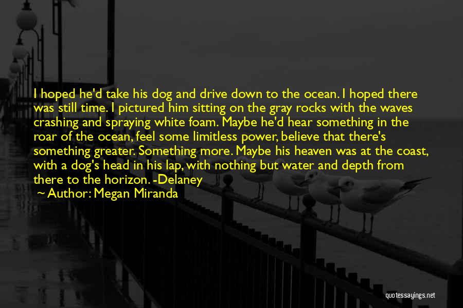 Megan Miranda Quotes: I Hoped He'd Take His Dog And Drive Down To The Ocean. I Hoped There Was Still Time. I Pictured