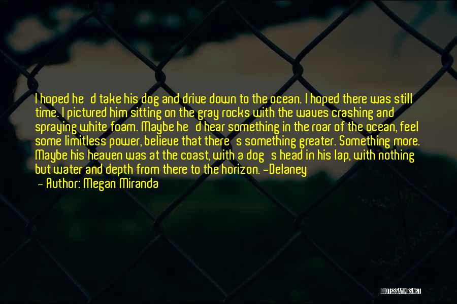 Megan Miranda Quotes: I Hoped He'd Take His Dog And Drive Down To The Ocean. I Hoped There Was Still Time. I Pictured