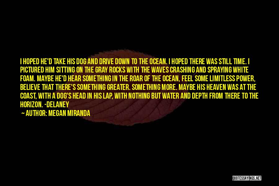 Megan Miranda Quotes: I Hoped He'd Take His Dog And Drive Down To The Ocean. I Hoped There Was Still Time. I Pictured