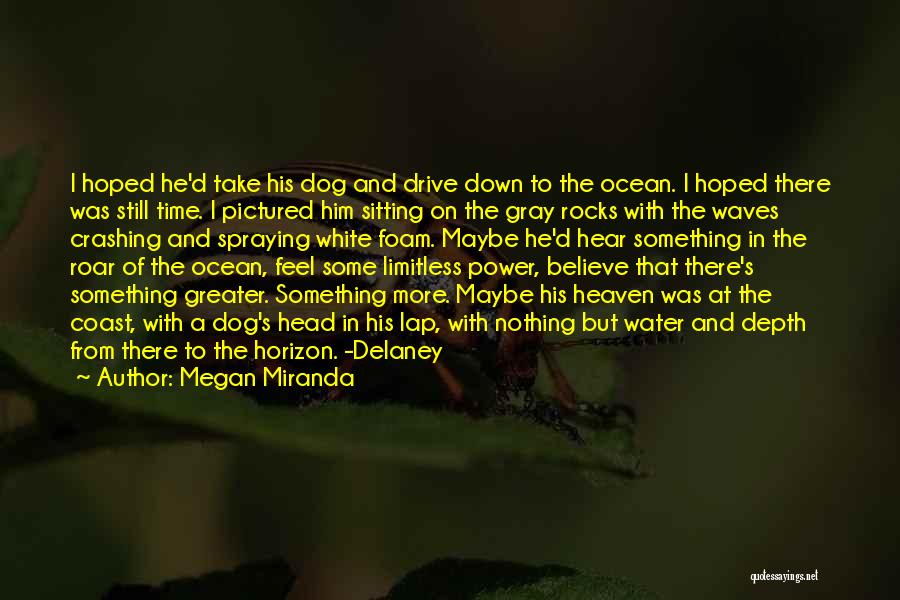 Megan Miranda Quotes: I Hoped He'd Take His Dog And Drive Down To The Ocean. I Hoped There Was Still Time. I Pictured