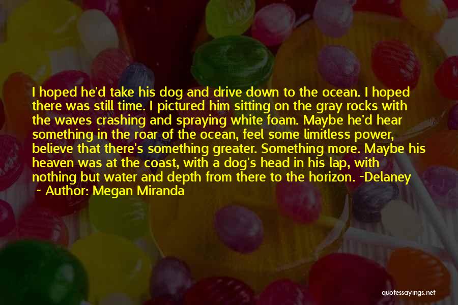 Megan Miranda Quotes: I Hoped He'd Take His Dog And Drive Down To The Ocean. I Hoped There Was Still Time. I Pictured