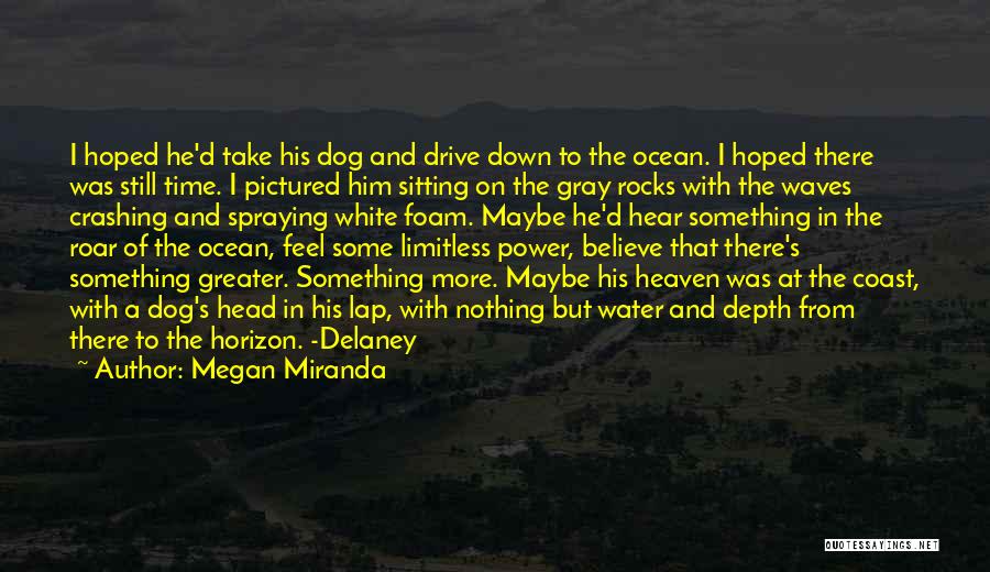 Megan Miranda Quotes: I Hoped He'd Take His Dog And Drive Down To The Ocean. I Hoped There Was Still Time. I Pictured