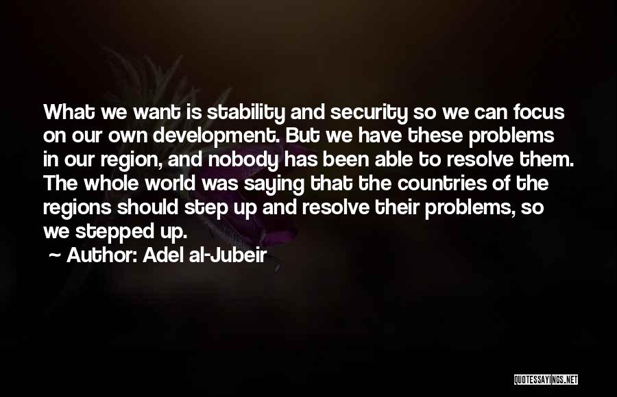 Adel Al-Jubeir Quotes: What We Want Is Stability And Security So We Can Focus On Our Own Development. But We Have These Problems