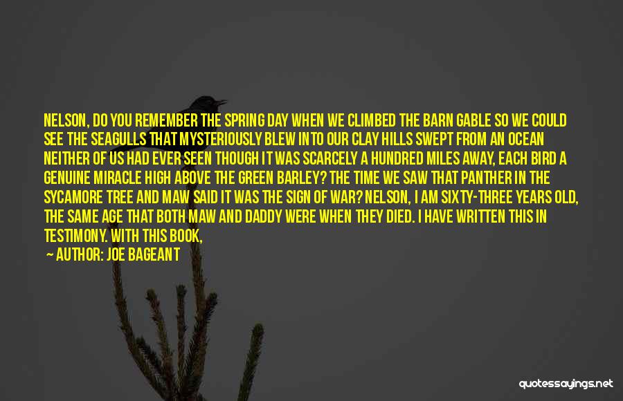 Joe Bageant Quotes: Nelson, Do You Remember The Spring Day When We Climbed The Barn Gable So We Could See The Seagulls That