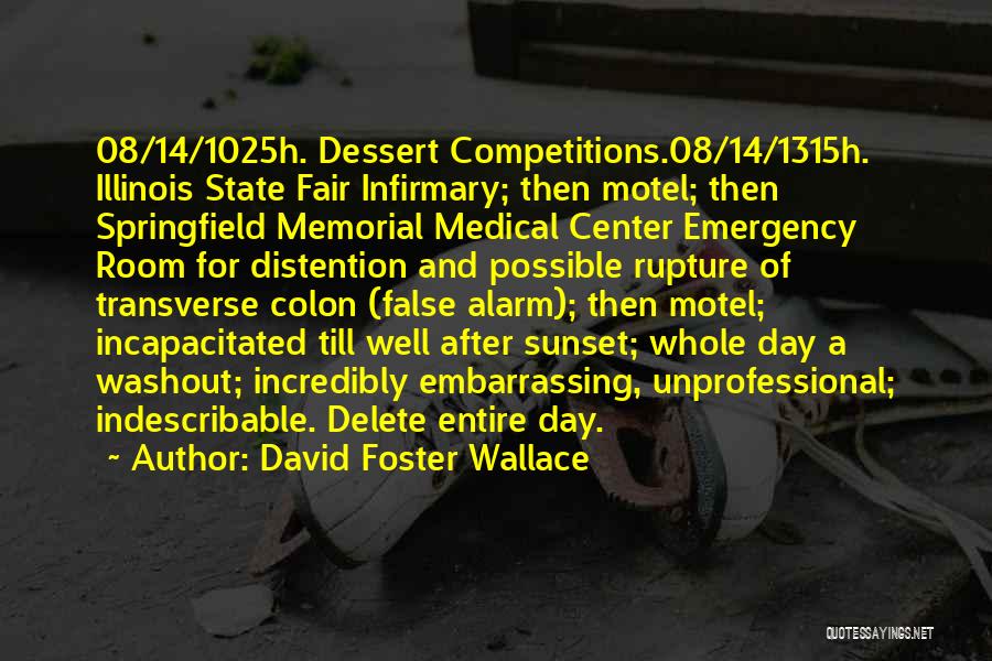 David Foster Wallace Quotes: 08/14/1025h. Dessert Competitions.08/14/1315h. Illinois State Fair Infirmary; Then Motel; Then Springfield Memorial Medical Center Emergency Room For Distention And Possible