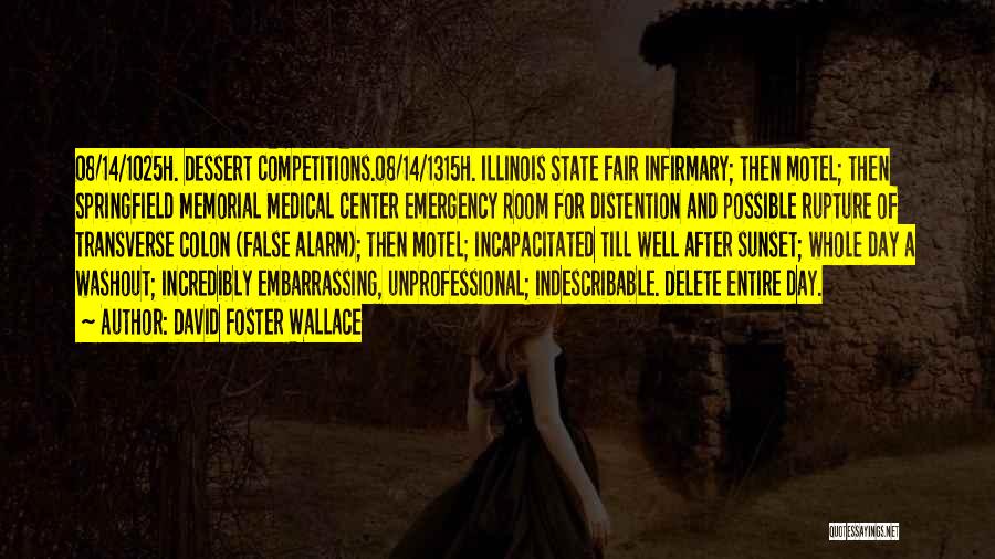 David Foster Wallace Quotes: 08/14/1025h. Dessert Competitions.08/14/1315h. Illinois State Fair Infirmary; Then Motel; Then Springfield Memorial Medical Center Emergency Room For Distention And Possible