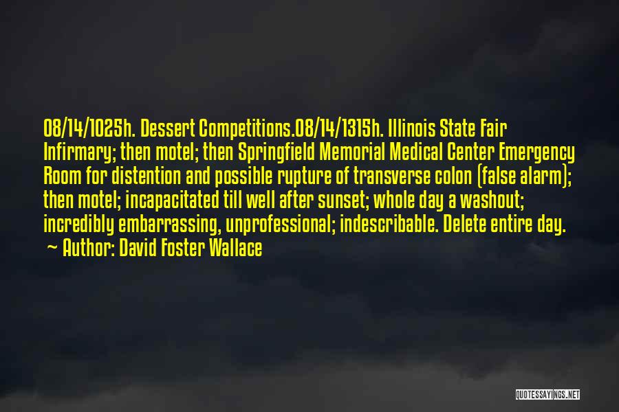 David Foster Wallace Quotes: 08/14/1025h. Dessert Competitions.08/14/1315h. Illinois State Fair Infirmary; Then Motel; Then Springfield Memorial Medical Center Emergency Room For Distention And Possible