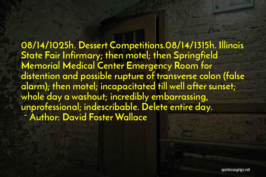 David Foster Wallace Quotes: 08/14/1025h. Dessert Competitions.08/14/1315h. Illinois State Fair Infirmary; Then Motel; Then Springfield Memorial Medical Center Emergency Room For Distention And Possible