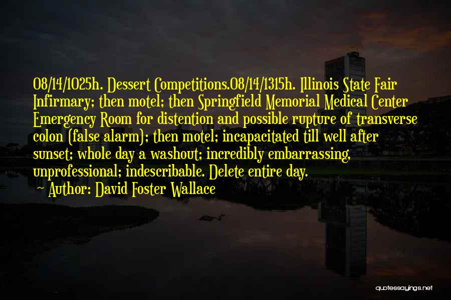 David Foster Wallace Quotes: 08/14/1025h. Dessert Competitions.08/14/1315h. Illinois State Fair Infirmary; Then Motel; Then Springfield Memorial Medical Center Emergency Room For Distention And Possible