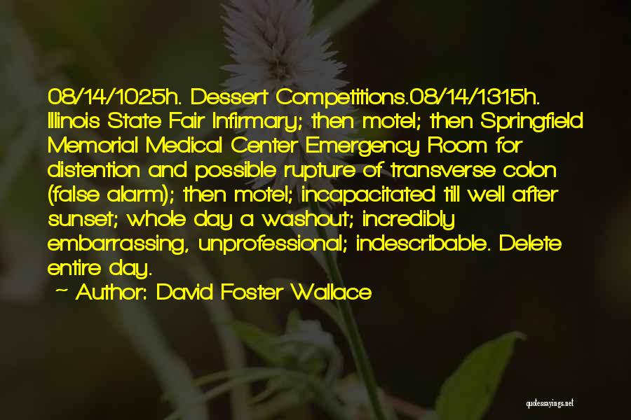 David Foster Wallace Quotes: 08/14/1025h. Dessert Competitions.08/14/1315h. Illinois State Fair Infirmary; Then Motel; Then Springfield Memorial Medical Center Emergency Room For Distention And Possible