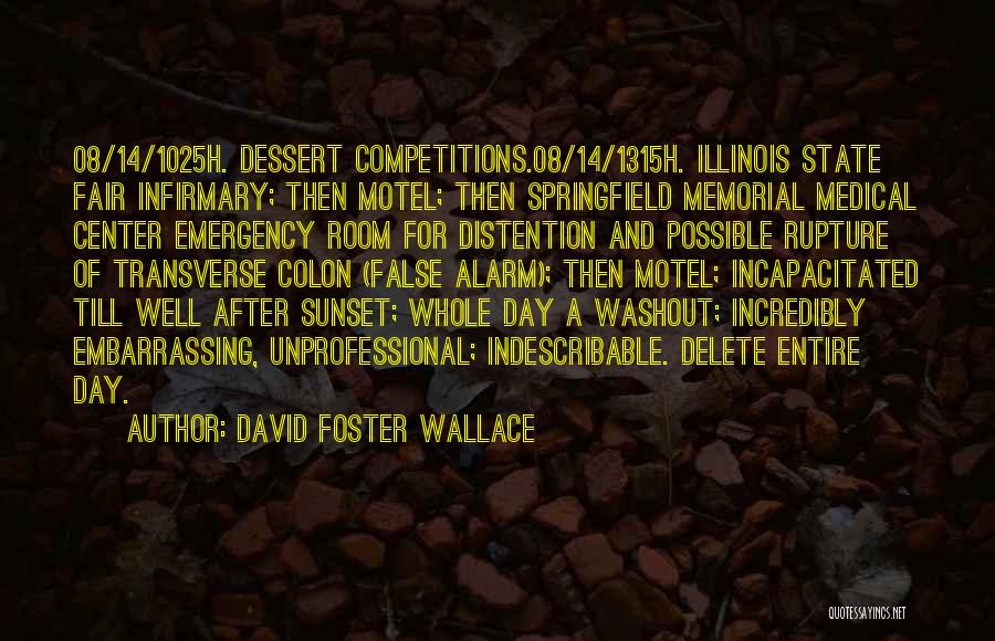 David Foster Wallace Quotes: 08/14/1025h. Dessert Competitions.08/14/1315h. Illinois State Fair Infirmary; Then Motel; Then Springfield Memorial Medical Center Emergency Room For Distention And Possible