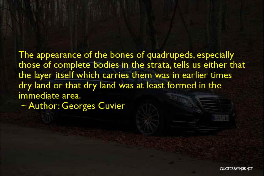 Georges Cuvier Quotes: The Appearance Of The Bones Of Quadrupeds, Especially Those Of Complete Bodies In The Strata, Tells Us Either That The