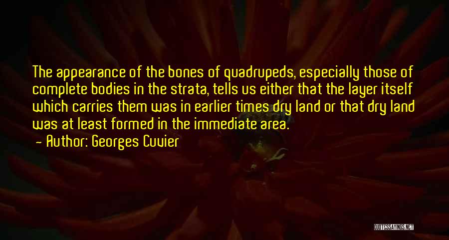 Georges Cuvier Quotes: The Appearance Of The Bones Of Quadrupeds, Especially Those Of Complete Bodies In The Strata, Tells Us Either That The