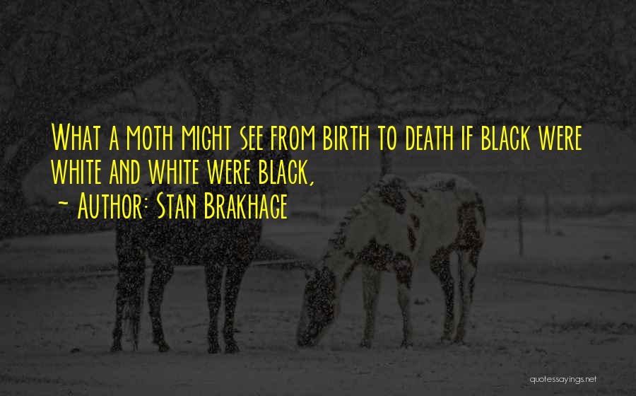 Stan Brakhage Quotes: What A Moth Might See From Birth To Death If Black Were White And White Were Black,