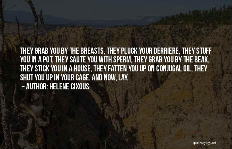 Helene Cixous Quotes: They Grab You By The Breasts, They Pluck Your Derriere, They Stuff You In A Pot, They Saute You With
