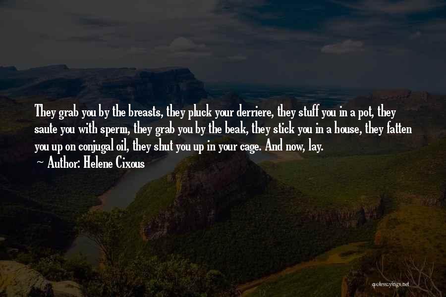 Helene Cixous Quotes: They Grab You By The Breasts, They Pluck Your Derriere, They Stuff You In A Pot, They Saute You With
