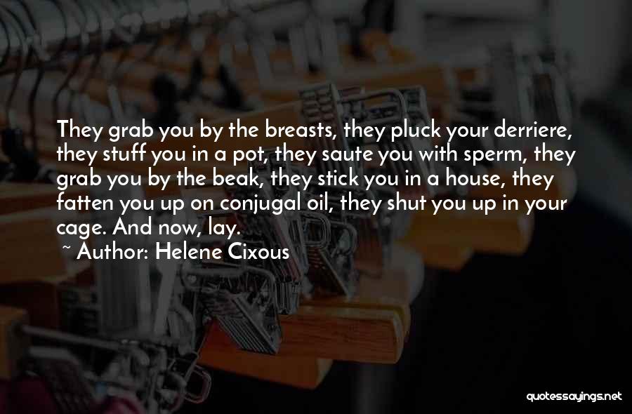 Helene Cixous Quotes: They Grab You By The Breasts, They Pluck Your Derriere, They Stuff You In A Pot, They Saute You With