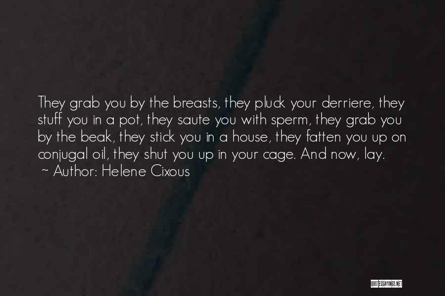 Helene Cixous Quotes: They Grab You By The Breasts, They Pluck Your Derriere, They Stuff You In A Pot, They Saute You With