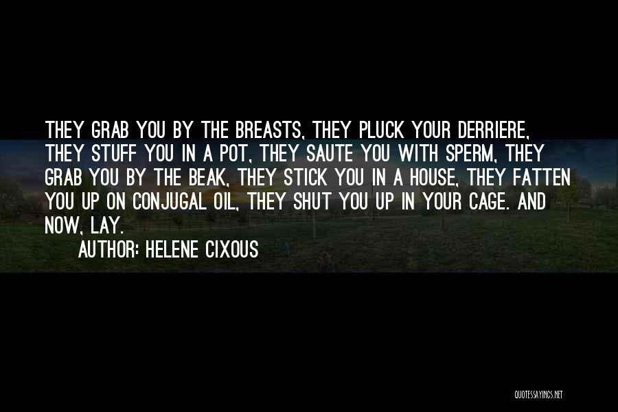 Helene Cixous Quotes: They Grab You By The Breasts, They Pluck Your Derriere, They Stuff You In A Pot, They Saute You With