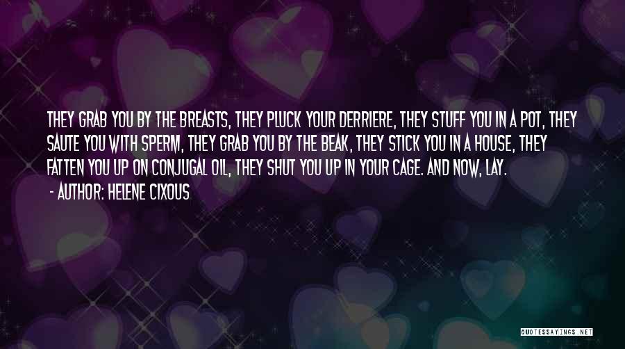 Helene Cixous Quotes: They Grab You By The Breasts, They Pluck Your Derriere, They Stuff You In A Pot, They Saute You With