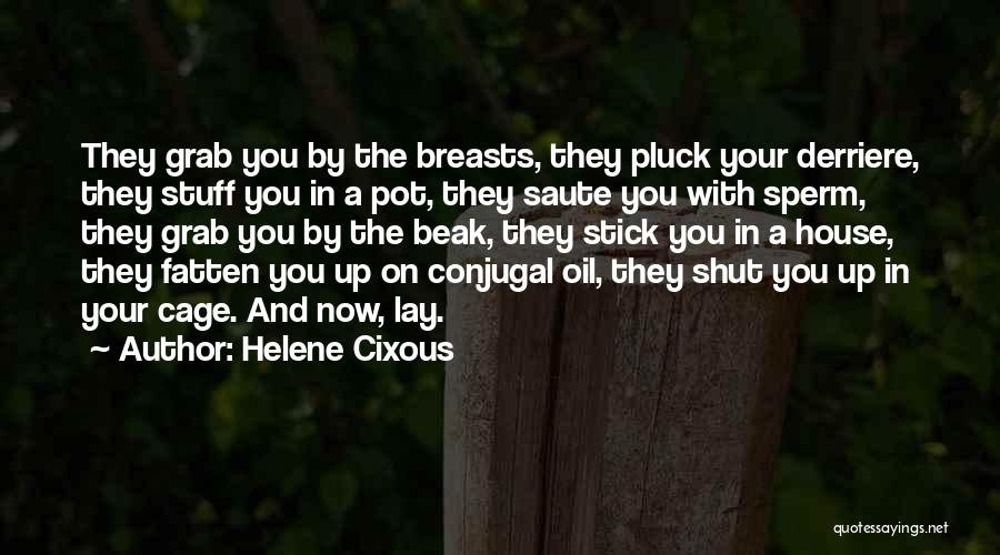 Helene Cixous Quotes: They Grab You By The Breasts, They Pluck Your Derriere, They Stuff You In A Pot, They Saute You With