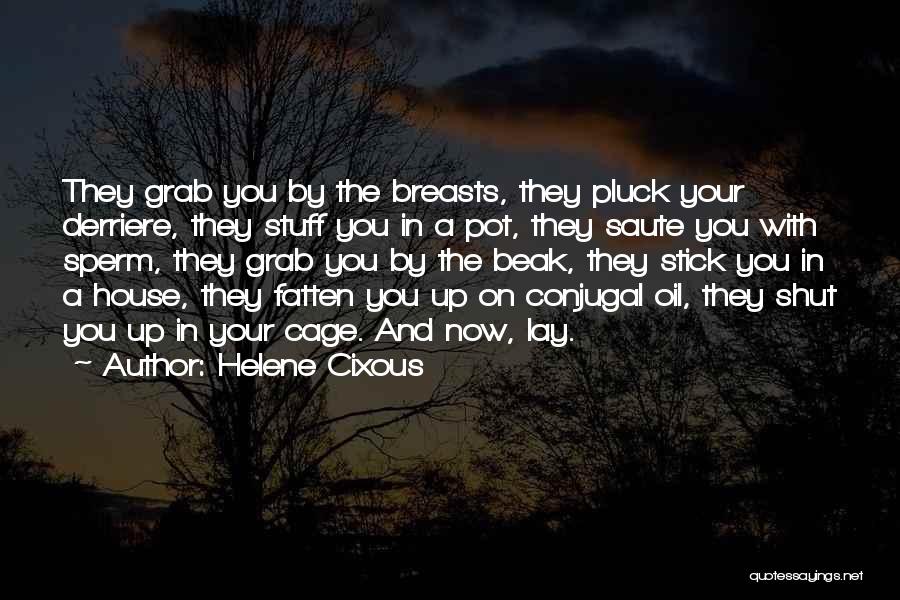 Helene Cixous Quotes: They Grab You By The Breasts, They Pluck Your Derriere, They Stuff You In A Pot, They Saute You With