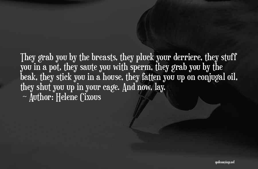Helene Cixous Quotes: They Grab You By The Breasts, They Pluck Your Derriere, They Stuff You In A Pot, They Saute You With