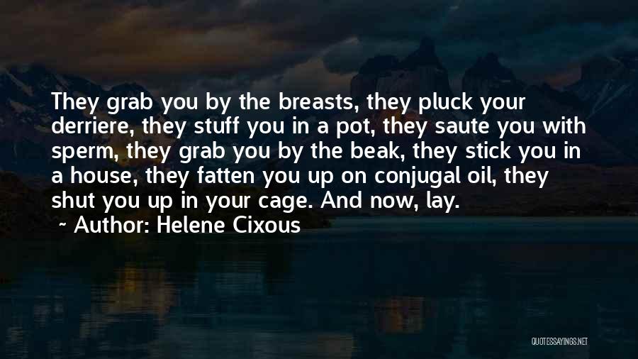 Helene Cixous Quotes: They Grab You By The Breasts, They Pluck Your Derriere, They Stuff You In A Pot, They Saute You With