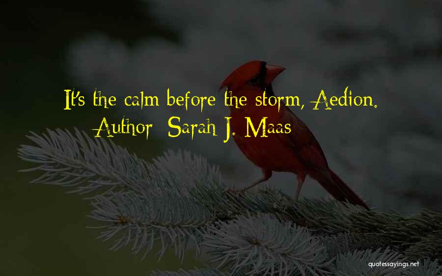 Sarah J. Maas Quotes: It's The Calm Before The Storm, Aedion.