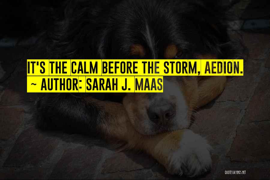 Sarah J. Maas Quotes: It's The Calm Before The Storm, Aedion.