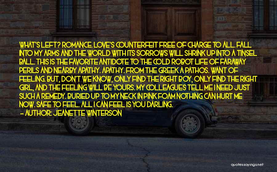 Jeanette Winterson Quotes: What's Left? Romance. Love's Counterfeit Free Of Charge To All. Fall Into My Arms And The World With Its Sorrows