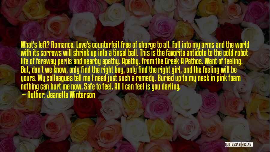 Jeanette Winterson Quotes: What's Left? Romance. Love's Counterfeit Free Of Charge To All. Fall Into My Arms And The World With Its Sorrows