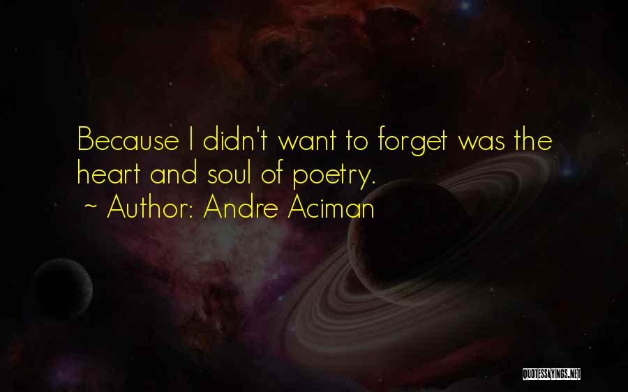 Andre Aciman Quotes: Because I Didn't Want To Forget Was The Heart And Soul Of Poetry.