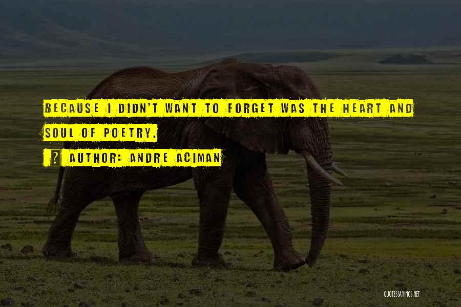 Andre Aciman Quotes: Because I Didn't Want To Forget Was The Heart And Soul Of Poetry.