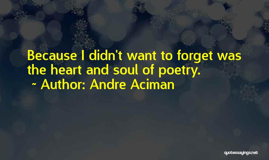 Andre Aciman Quotes: Because I Didn't Want To Forget Was The Heart And Soul Of Poetry.