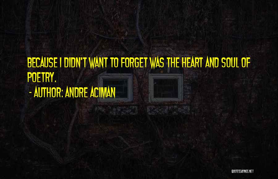 Andre Aciman Quotes: Because I Didn't Want To Forget Was The Heart And Soul Of Poetry.