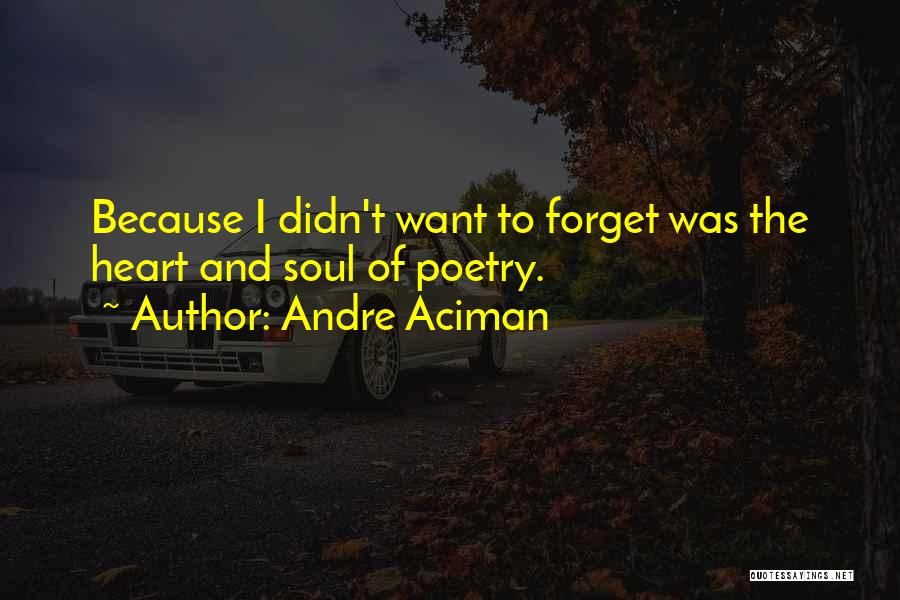 Andre Aciman Quotes: Because I Didn't Want To Forget Was The Heart And Soul Of Poetry.