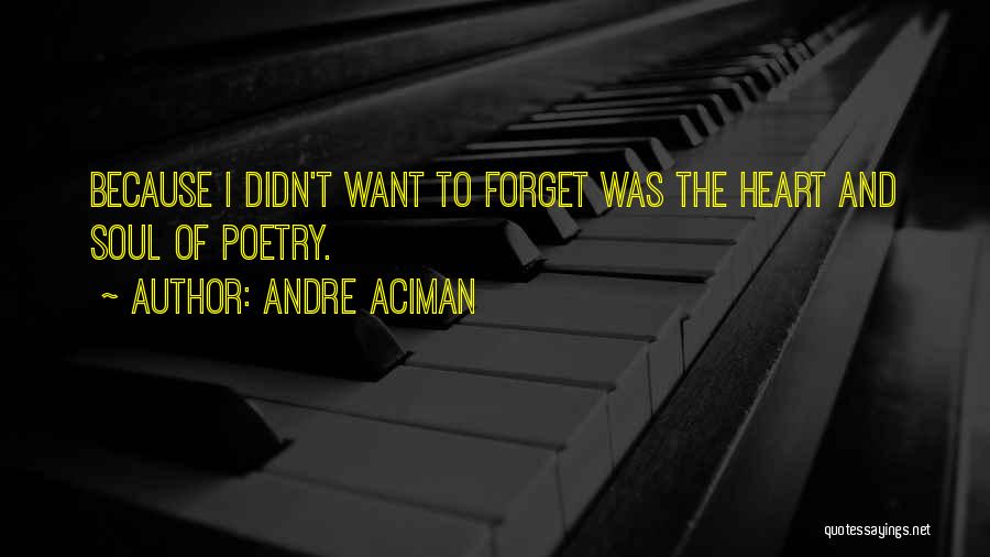 Andre Aciman Quotes: Because I Didn't Want To Forget Was The Heart And Soul Of Poetry.