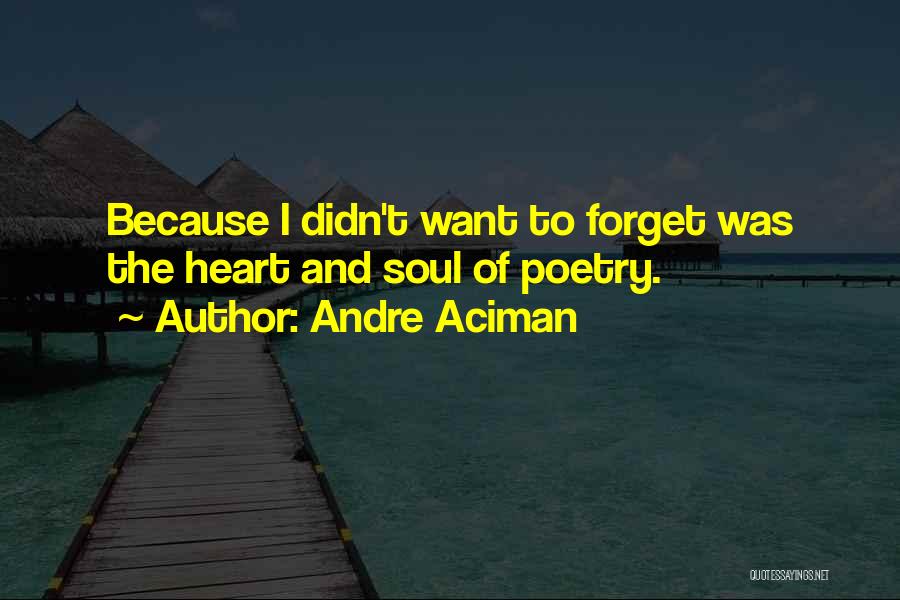 Andre Aciman Quotes: Because I Didn't Want To Forget Was The Heart And Soul Of Poetry.