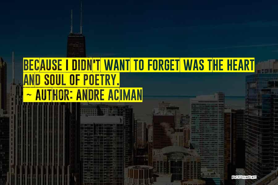 Andre Aciman Quotes: Because I Didn't Want To Forget Was The Heart And Soul Of Poetry.