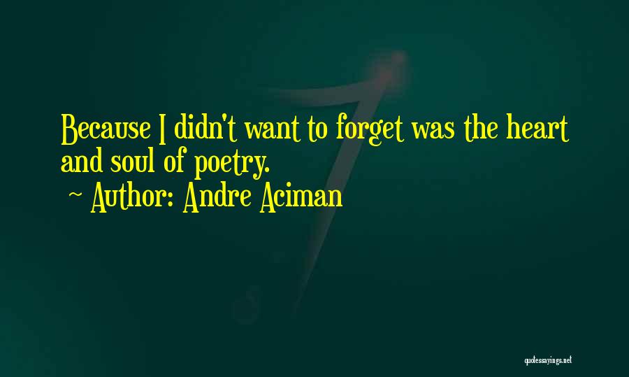 Andre Aciman Quotes: Because I Didn't Want To Forget Was The Heart And Soul Of Poetry.