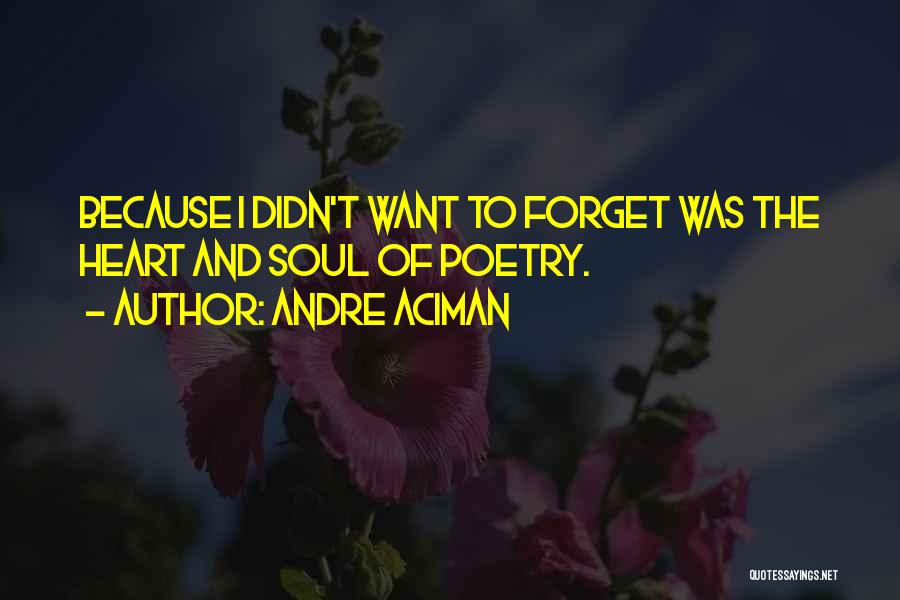 Andre Aciman Quotes: Because I Didn't Want To Forget Was The Heart And Soul Of Poetry.