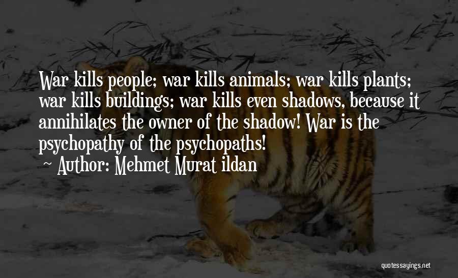 Mehmet Murat Ildan Quotes: War Kills People; War Kills Animals; War Kills Plants; War Kills Buildings; War Kills Even Shadows, Because It Annihilates The
