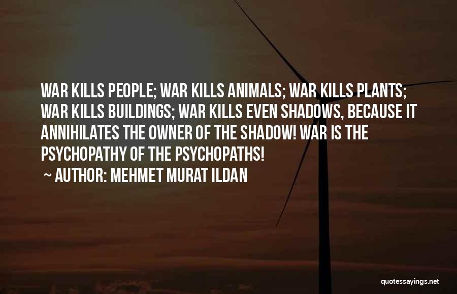 Mehmet Murat Ildan Quotes: War Kills People; War Kills Animals; War Kills Plants; War Kills Buildings; War Kills Even Shadows, Because It Annihilates The