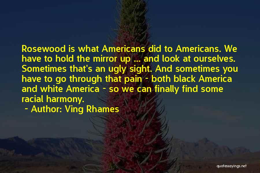 Ving Rhames Quotes: Rosewood Is What Americans Did To Americans. We Have To Hold The Mirror Up ... And Look At Ourselves. Sometimes