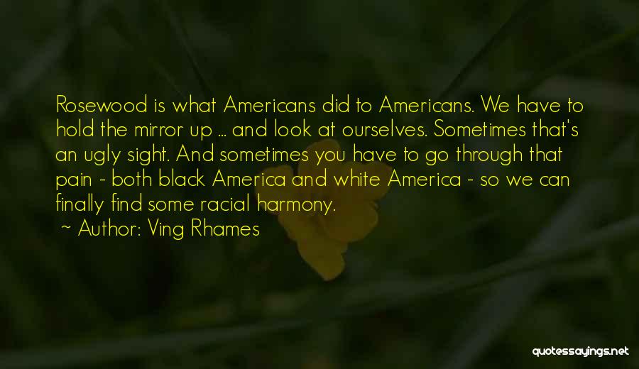 Ving Rhames Quotes: Rosewood Is What Americans Did To Americans. We Have To Hold The Mirror Up ... And Look At Ourselves. Sometimes