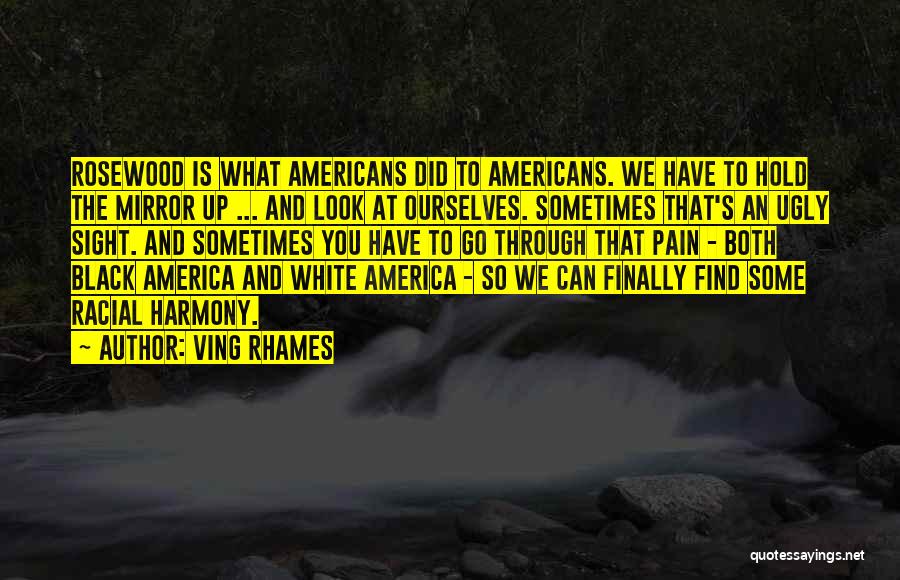 Ving Rhames Quotes: Rosewood Is What Americans Did To Americans. We Have To Hold The Mirror Up ... And Look At Ourselves. Sometimes