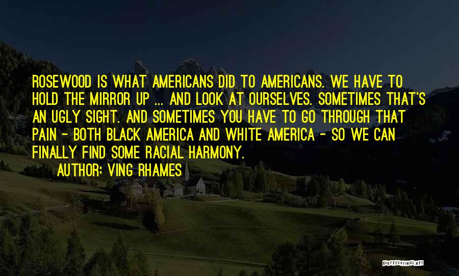 Ving Rhames Quotes: Rosewood Is What Americans Did To Americans. We Have To Hold The Mirror Up ... And Look At Ourselves. Sometimes