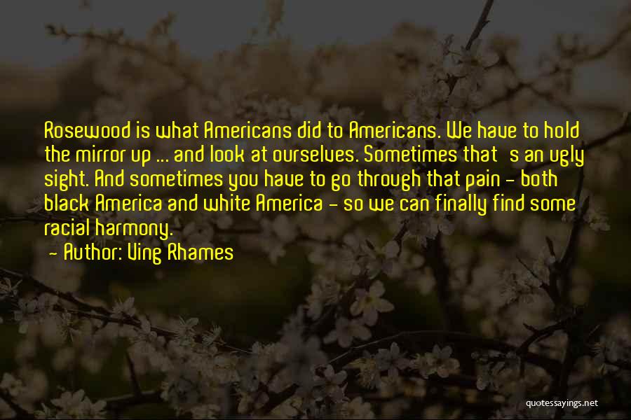 Ving Rhames Quotes: Rosewood Is What Americans Did To Americans. We Have To Hold The Mirror Up ... And Look At Ourselves. Sometimes