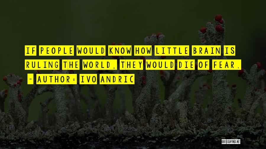 Ivo Andric Quotes: If People Would Know How Little Brain Is Ruling The World, They Would Die Of Fear.